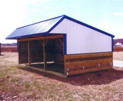 Double Opening Shed