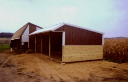 Barns n' sheds